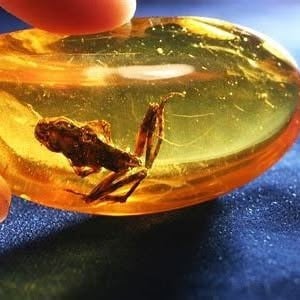 Amber