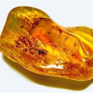 inclusions Can Preserve a Piece of the Past